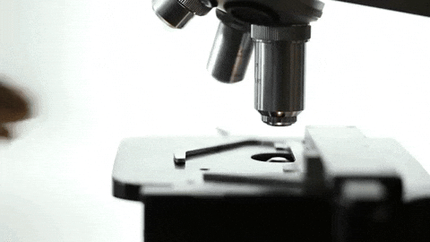 innovacion-laboratorio-de-cosmeticos-colombia