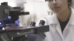laboratorio cosmetico colombia fligo